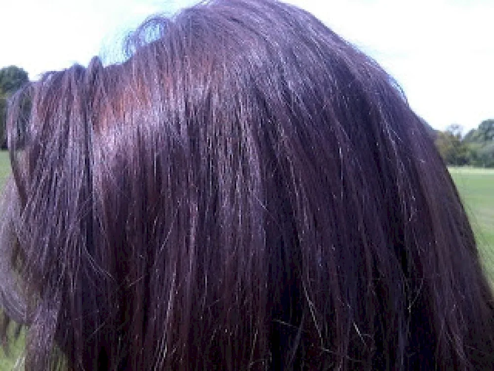Which tone is darker loreal casting 513 or 5102