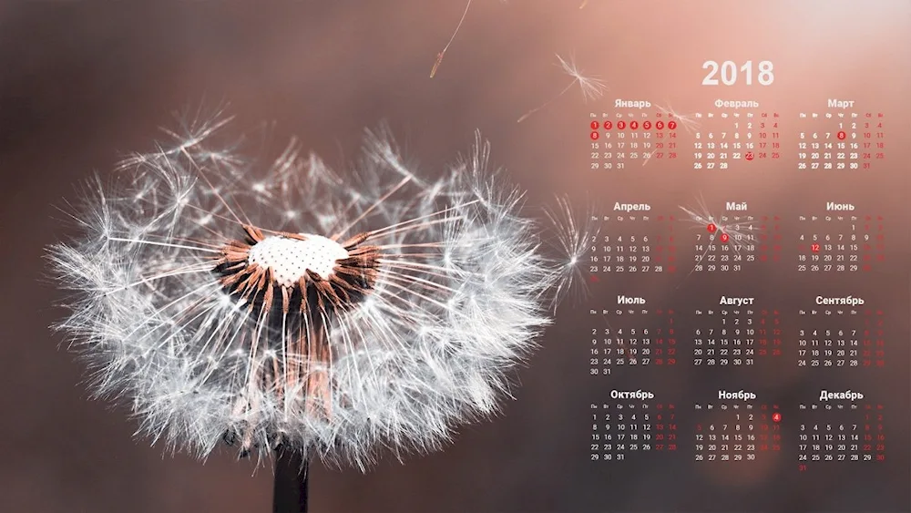 Calendar background