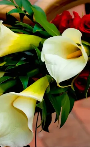 Calla flower bouquet