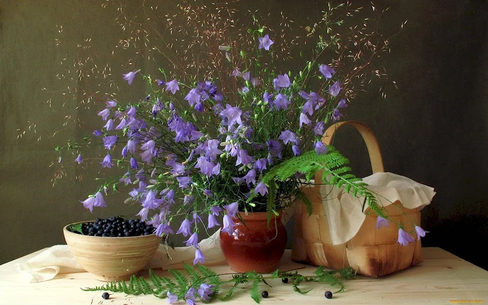 Field flowers