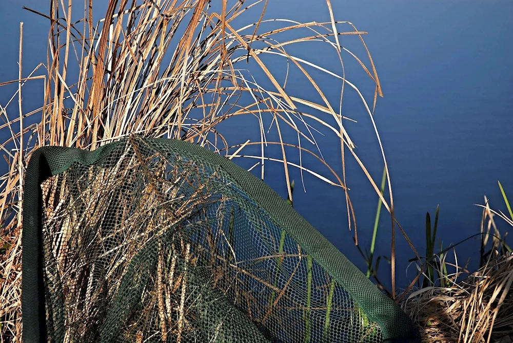 Fishing net rubbish