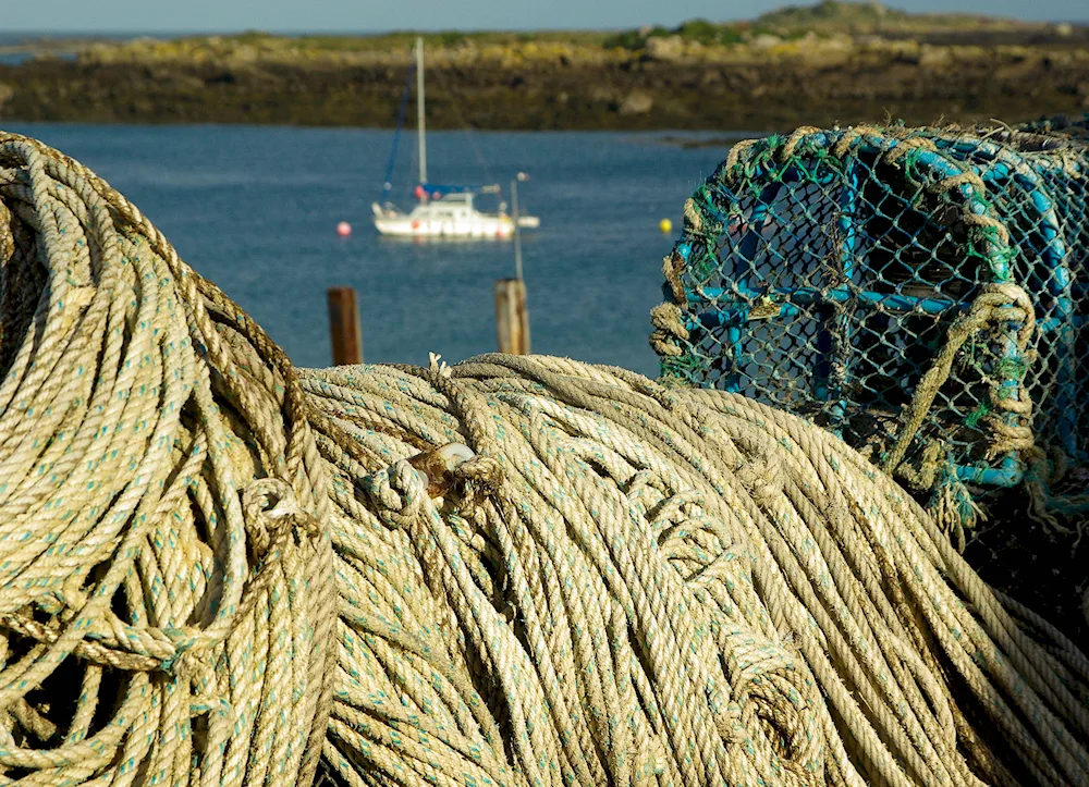 Fishing net