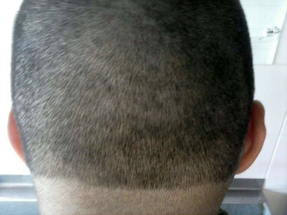 Bass Cut hairstyle