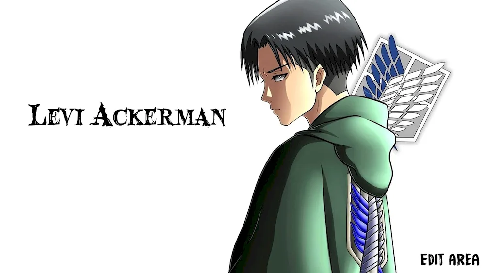 Captain Levi