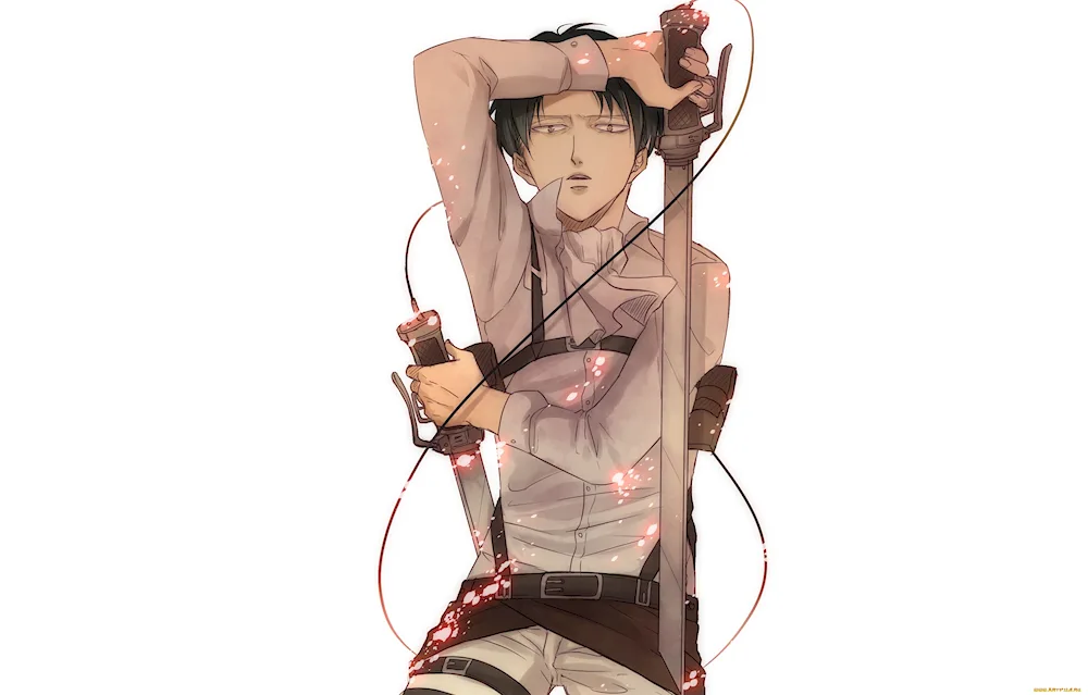 Captain Levi