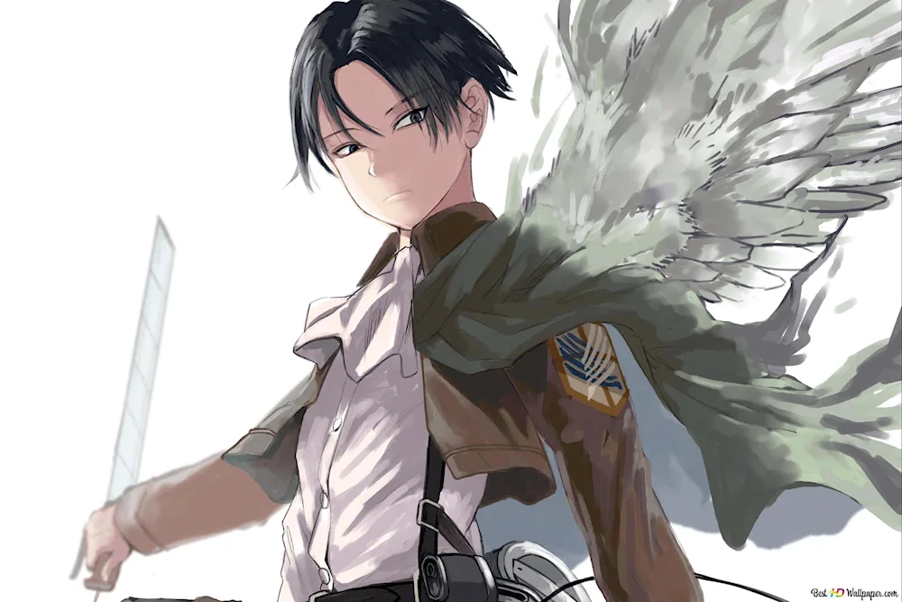 Captain Levi