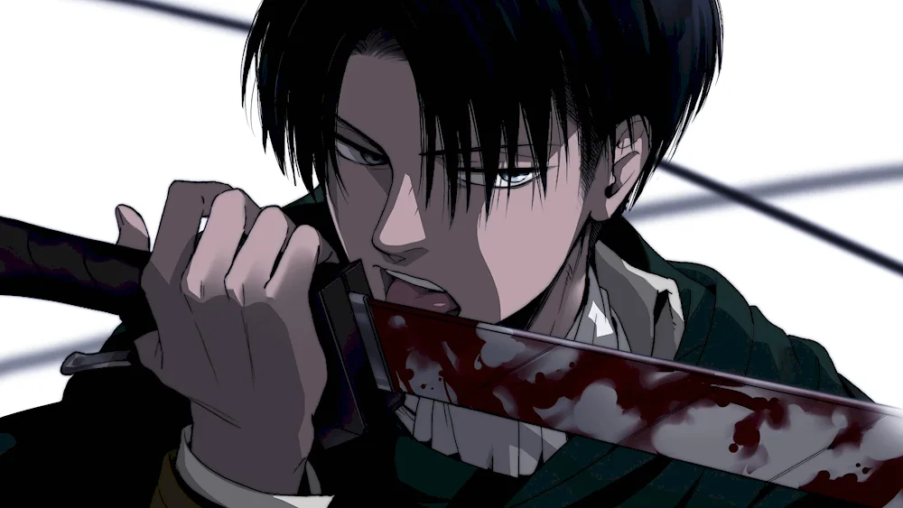 Captain Levi