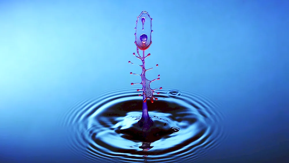 Water drops