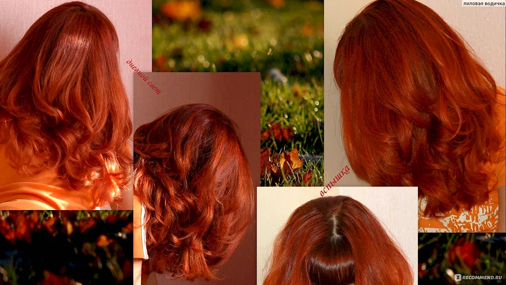 8 77 hair colour palette