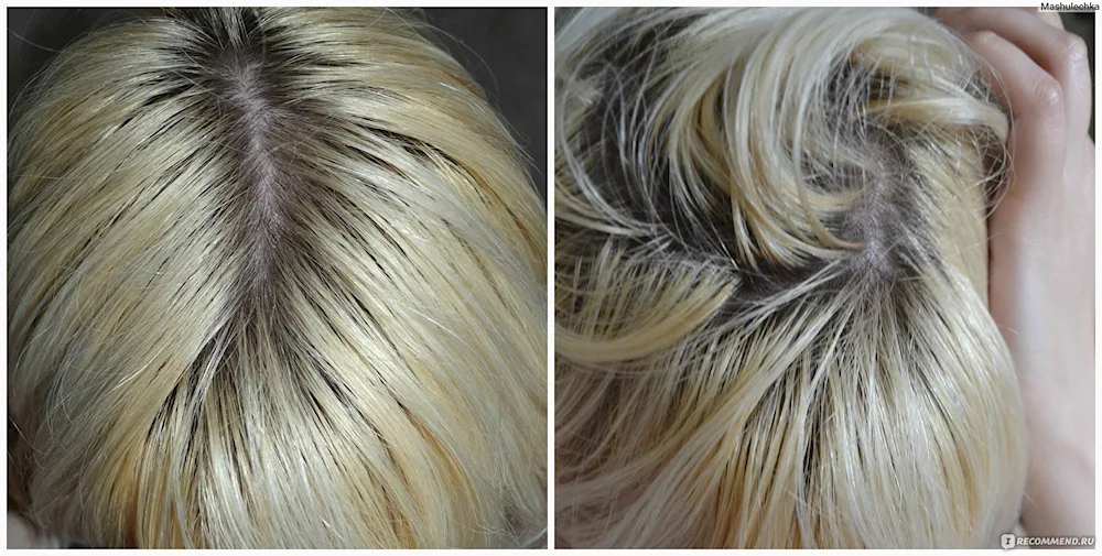 Capus Blond Bar 1012