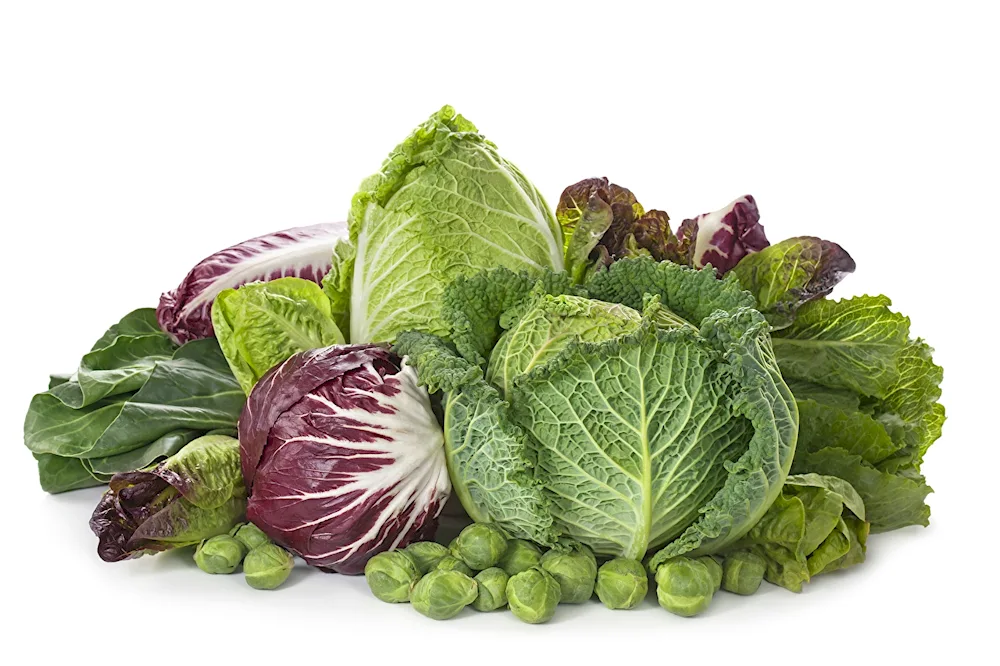 Vegetables and fruits