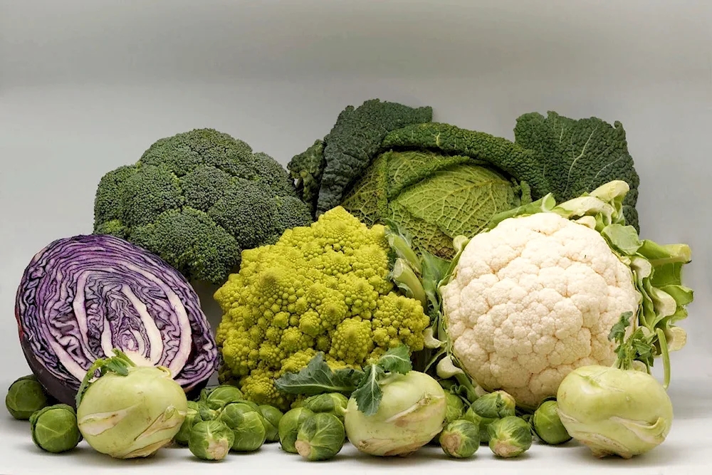 Broccoli and kohlrabi