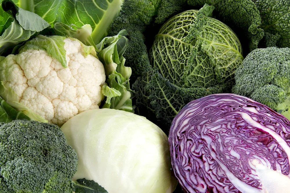 Beijing brussels kohlrabi kale