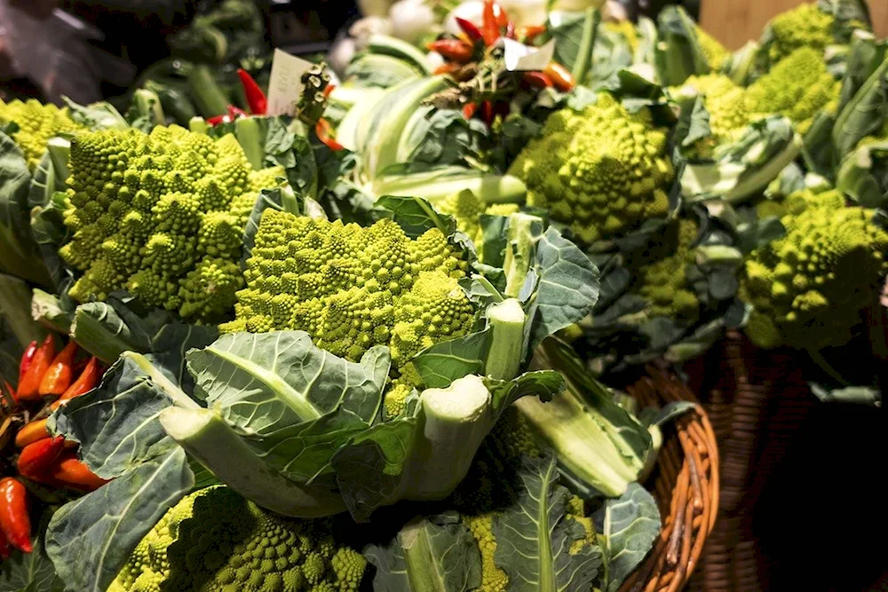 Cauliflowered vegetables cabbage