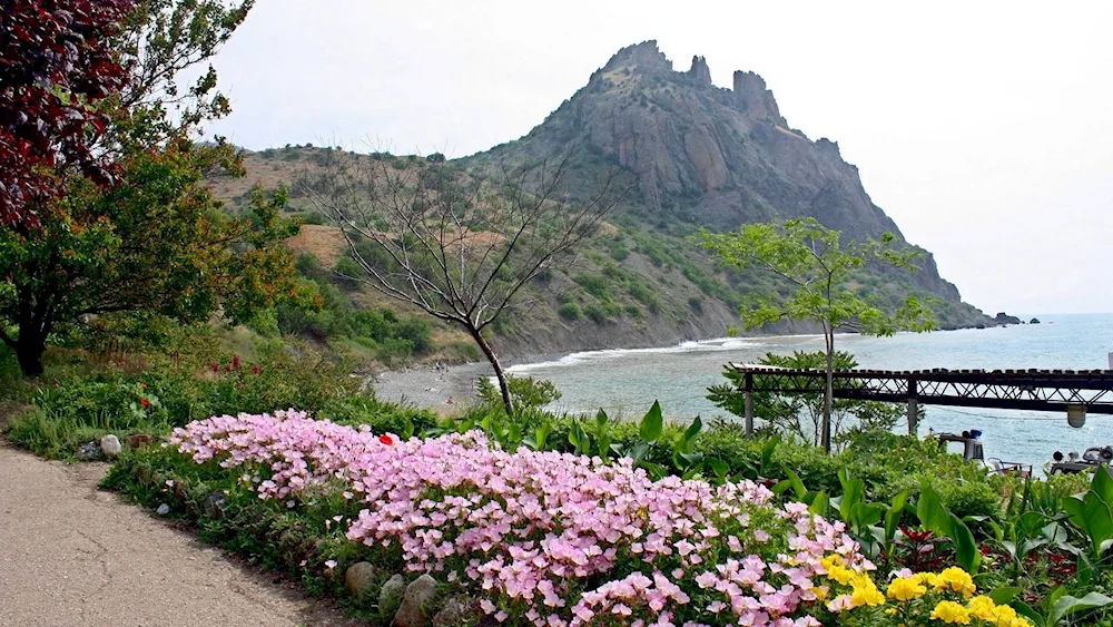 Karadagsky Reserve plants