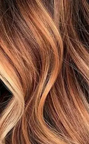 Caramel Balayage on dark hair