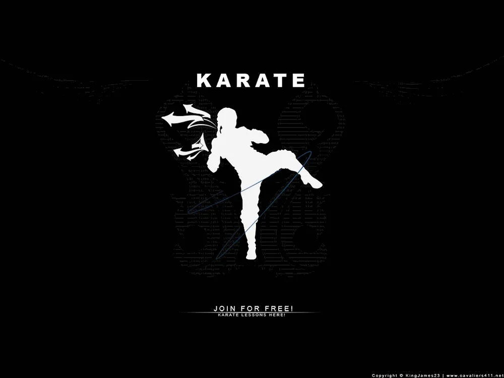 Kyokushinkai karate character