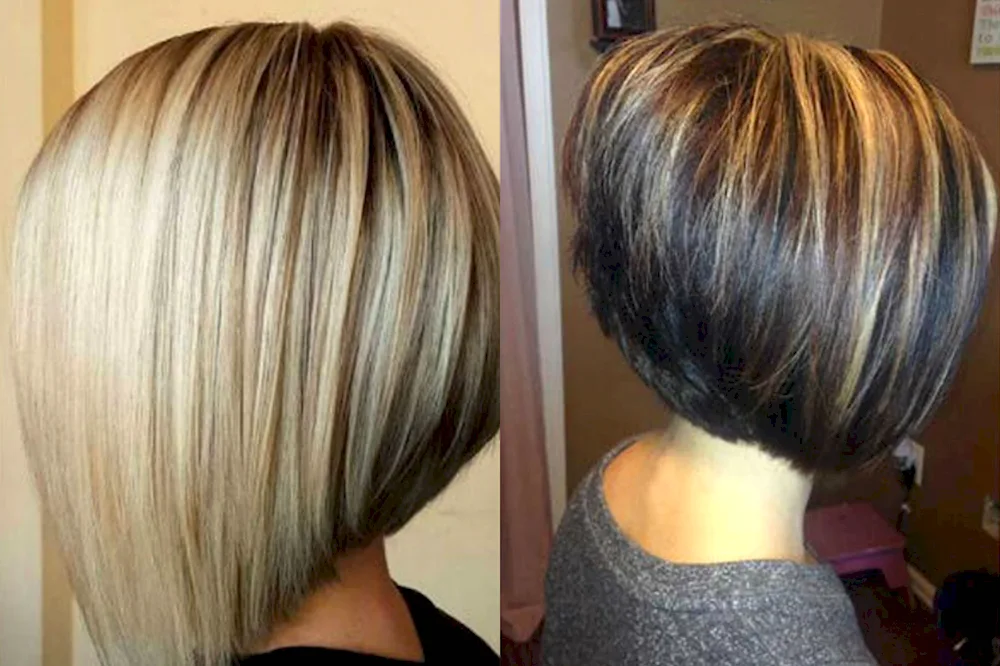 Care Pixie Bob