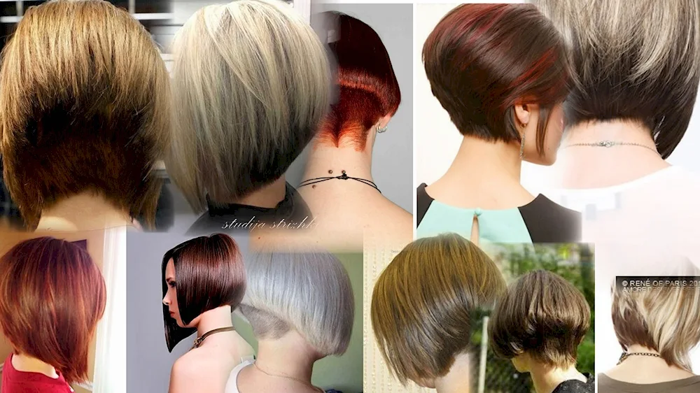 Bob Tracy haircut