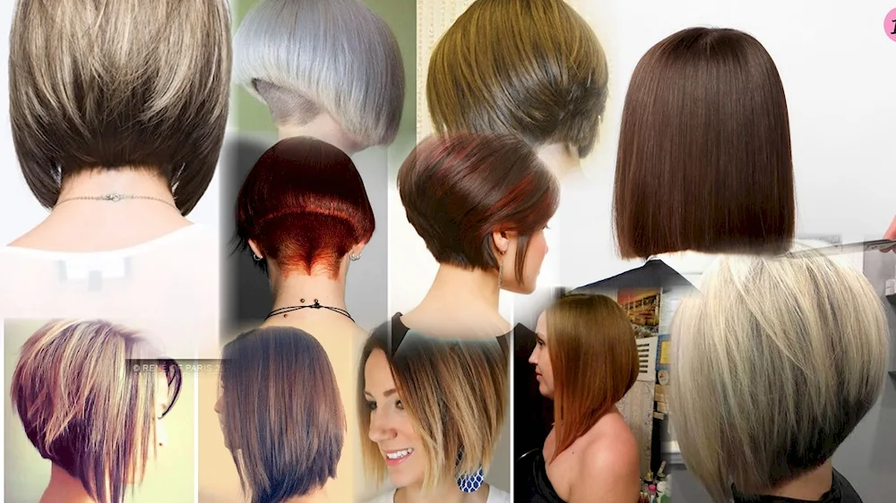 Bob Tracy haircut