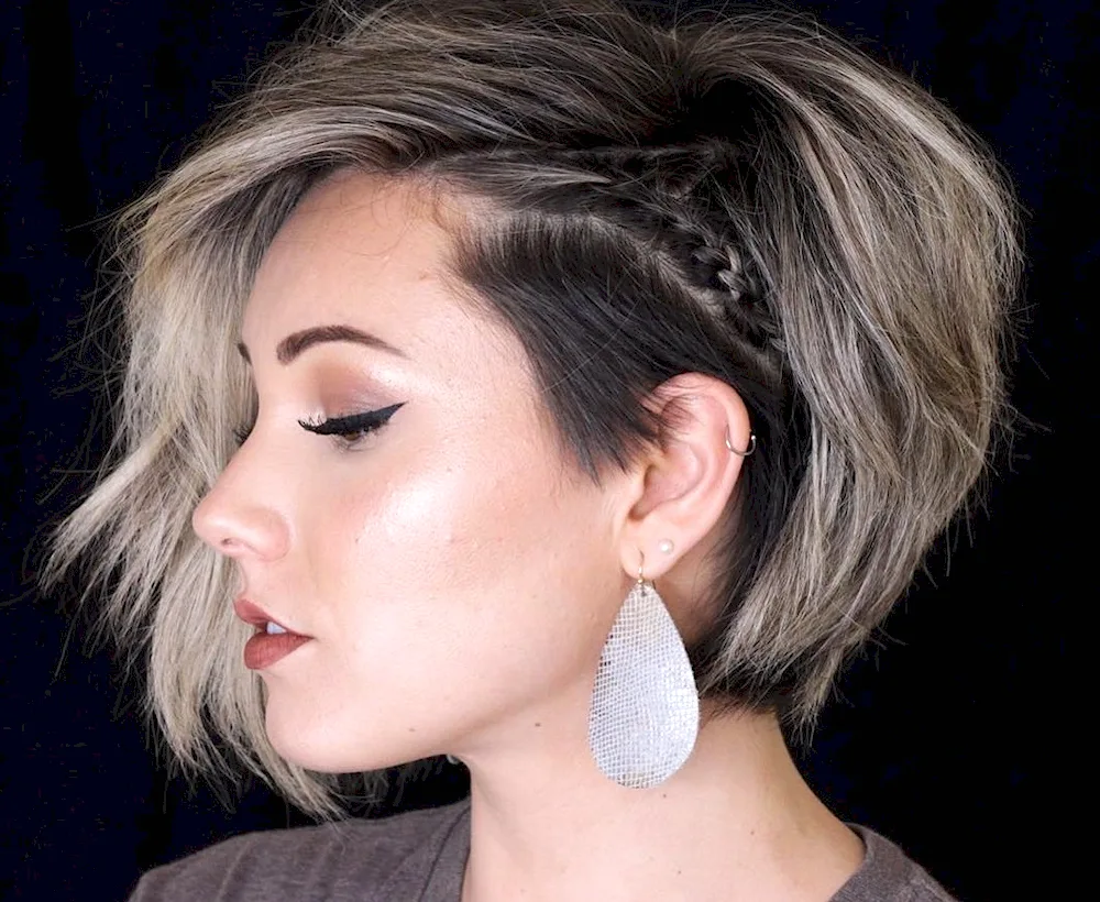 Pixie Bob