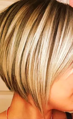 Kare Pixie Bob