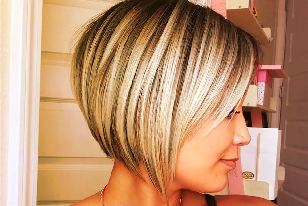 Pixie bob haircut