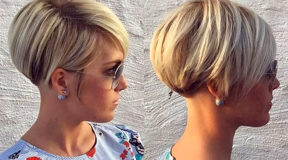 Korean bob Pixie bob