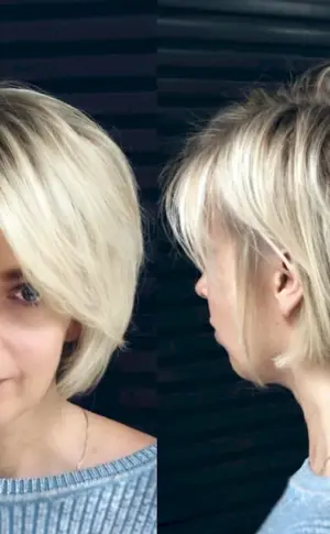 Pixie Bob