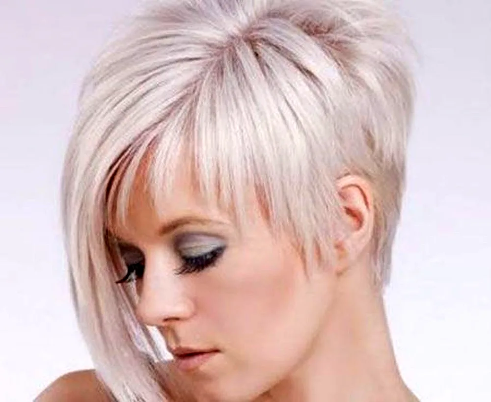 Pixie bob