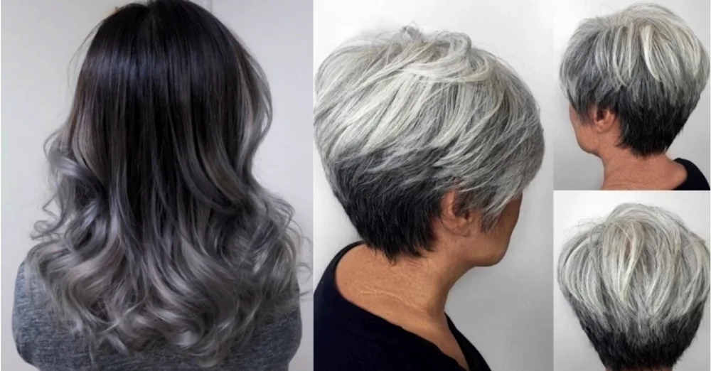 Pixie Bob Ash Colouring for Grey Hair