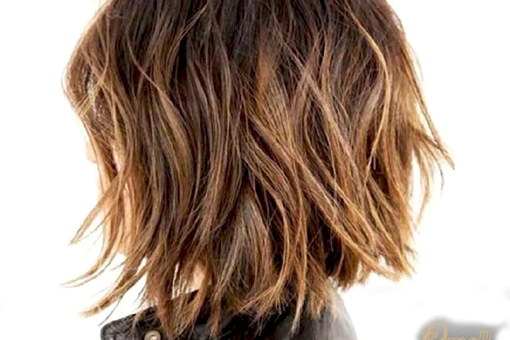 Care Shag Bob