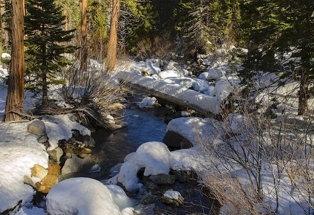 Karelia brook