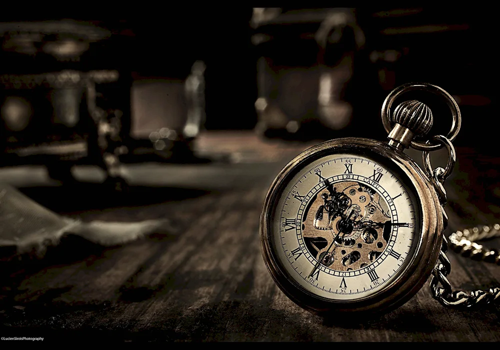 Pocket watches watches