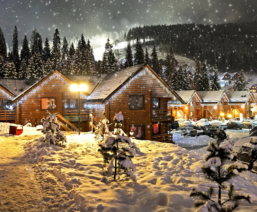 A Christmas tree in snow