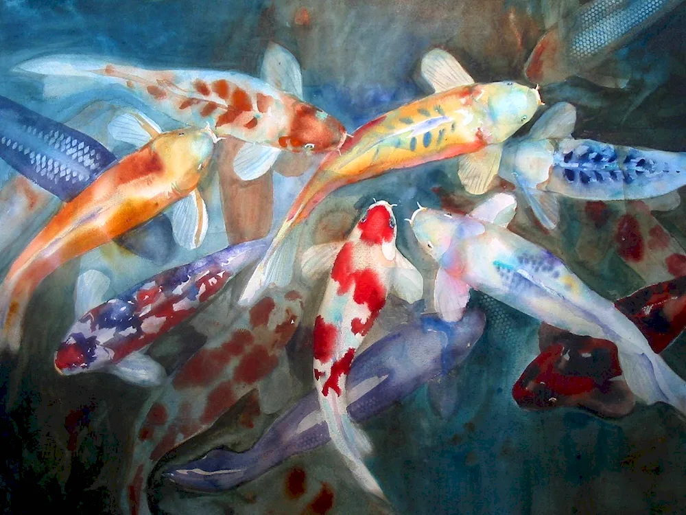 Koi Carp Hayao Miyazaki