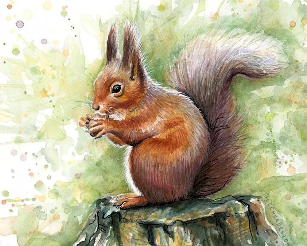 Keleynikov's painting of a squirrel