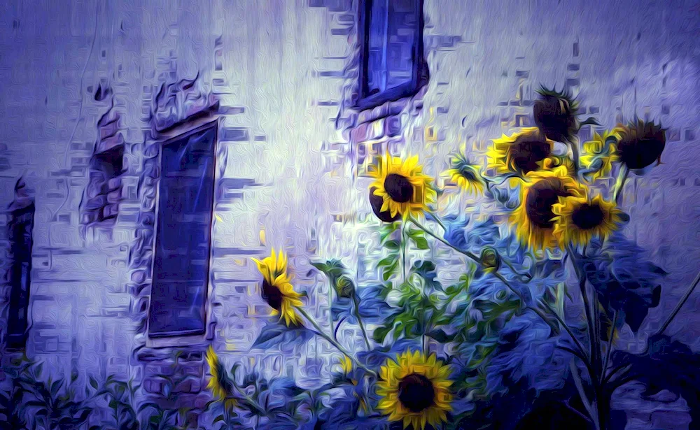 Sunflowers