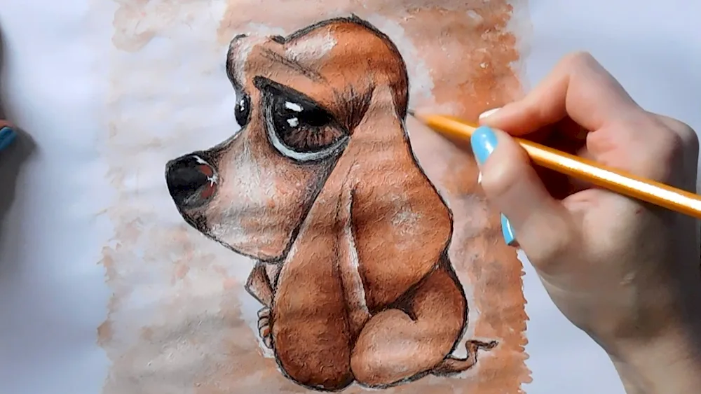 Animal Drawings