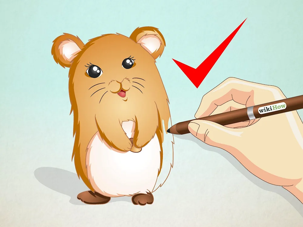 Hamster pencil drawing