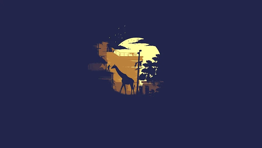 Minimalism pictures
