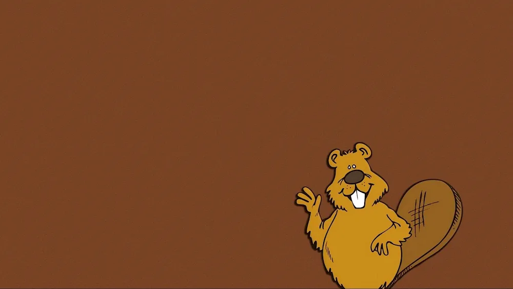 Beaver Minimalism