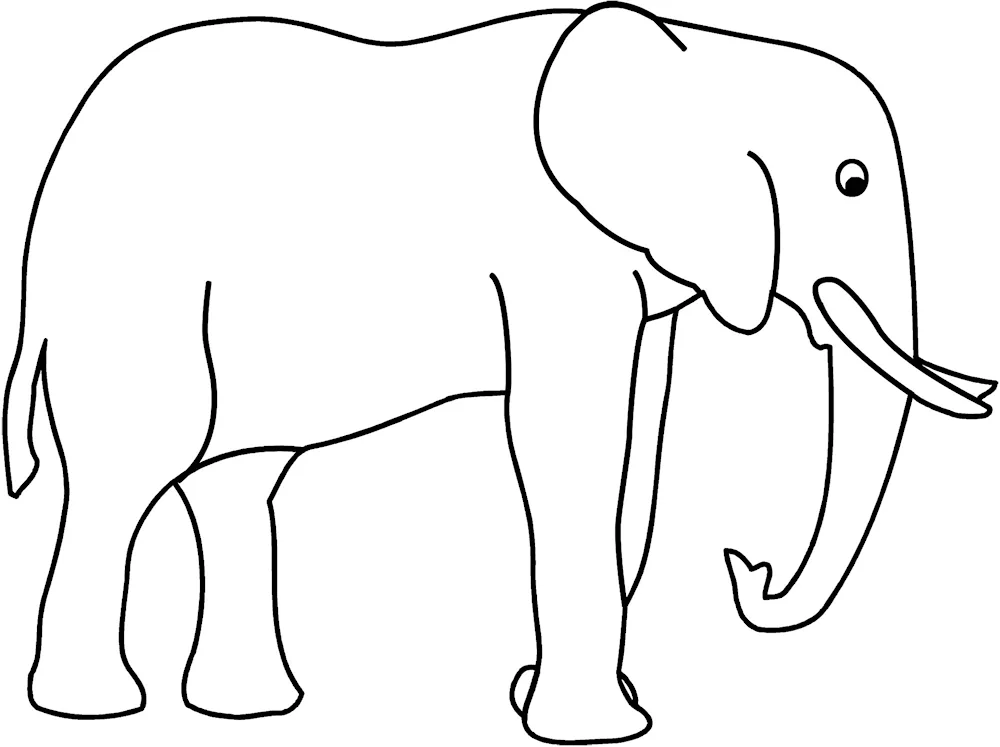 Elephant drawing