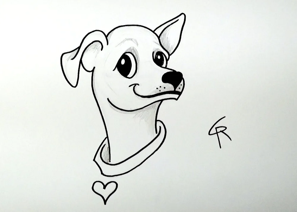 Dog pictures for sketching