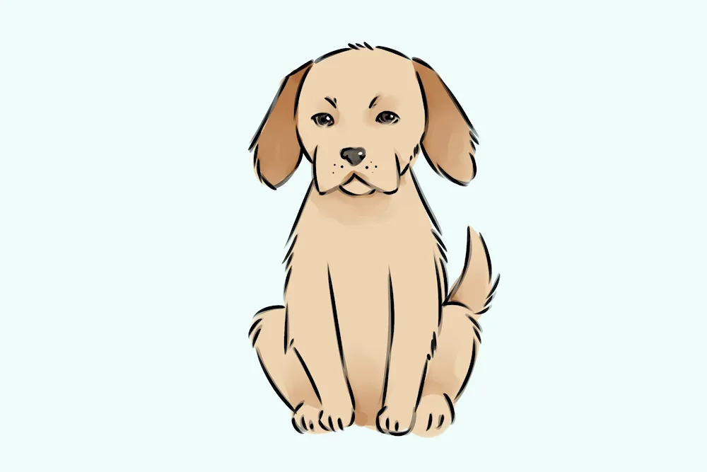Dog pictures for sketching