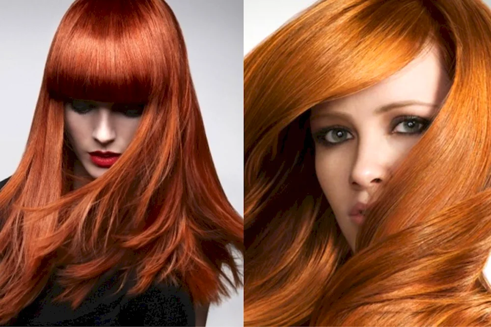 Chestnut Red hair colour