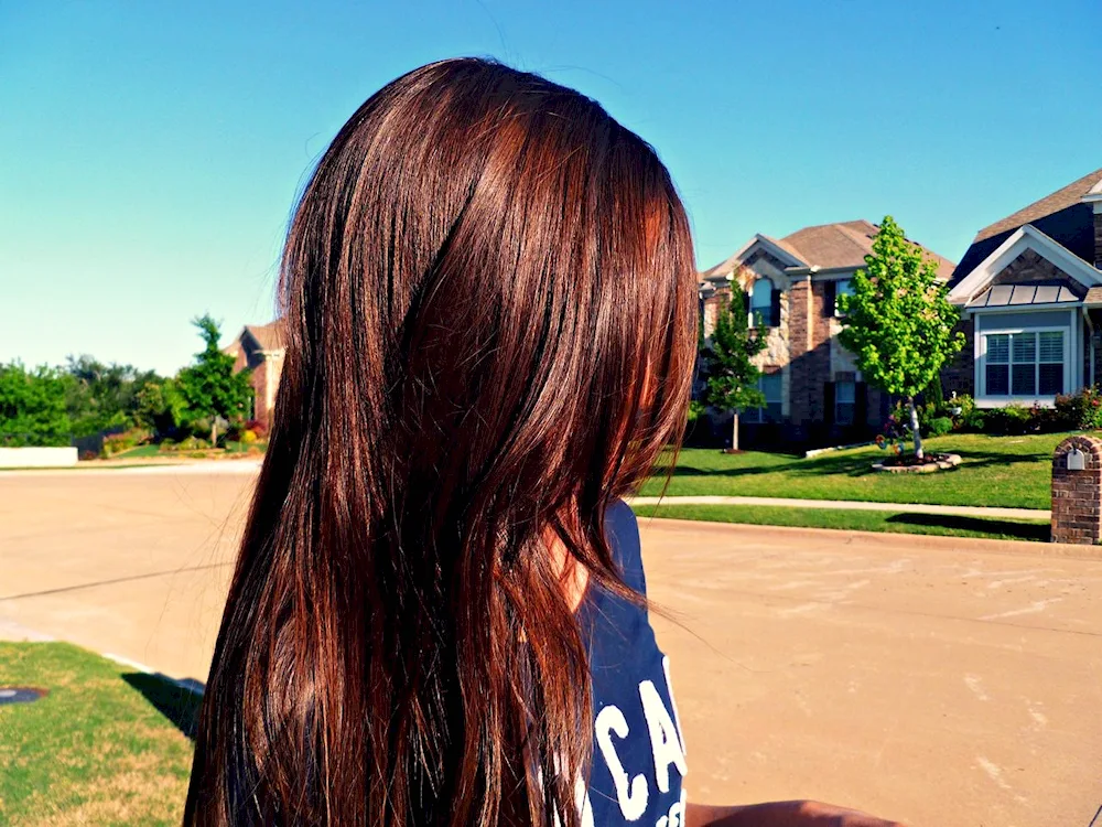 Chestnut hair