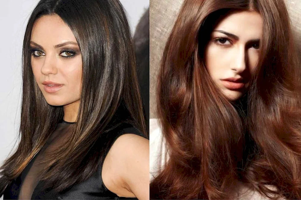 What to dye brunette hair in