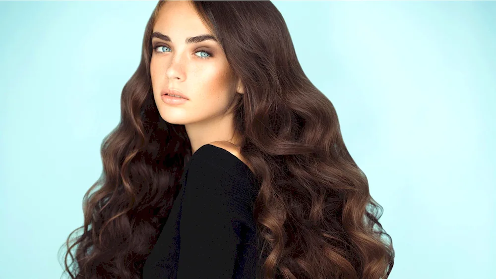 Chestnut. Brown shade
