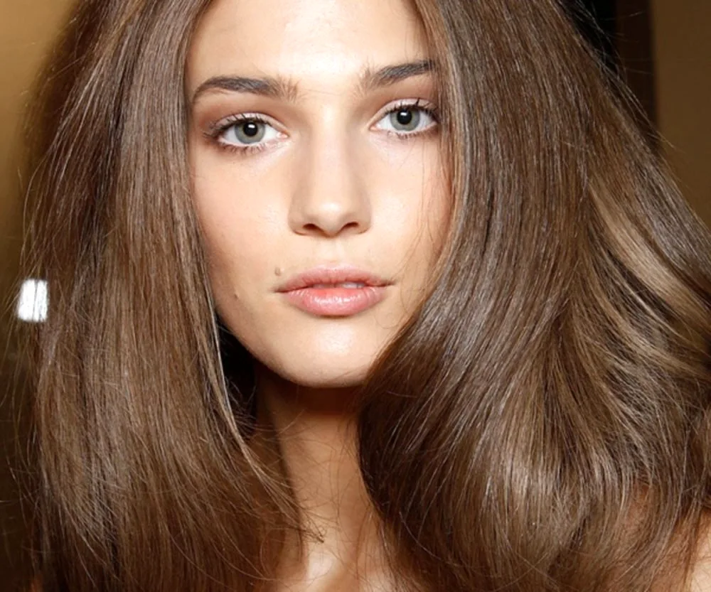 Chestnut hair colour